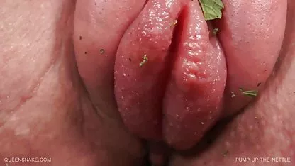 همسایگان را یک حزب کوچک دانلود رایگان فیلم سکسی گروهی سوزان!