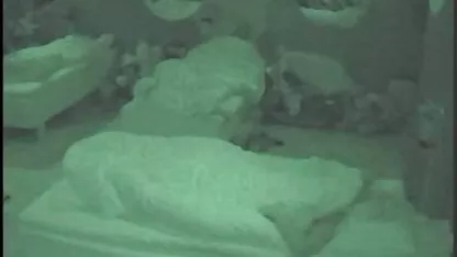 - کرست فیلم سوپر دسته جمعی دختر